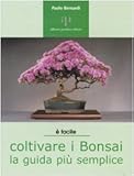 Image de Coltivare i bonsai. La guida più semplice