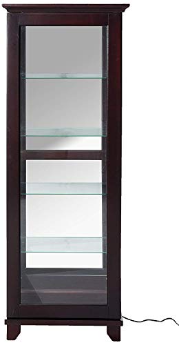 5-Shelf Curio Cabinet with Mirrored Back and Can Lighting Cappuccino and Clear