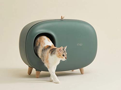 ipet litter box