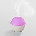 ZAQ Mini II USB Travel Litemist Aromatherapy Essential Oil Diffuser, White (Old Version)