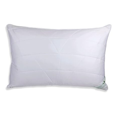 Lancashire Bedding Premium Bamboo Natural Pillows Pair Of Pillows