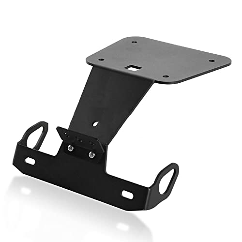Motorcycle Tidy Tail Fender Eliminator License