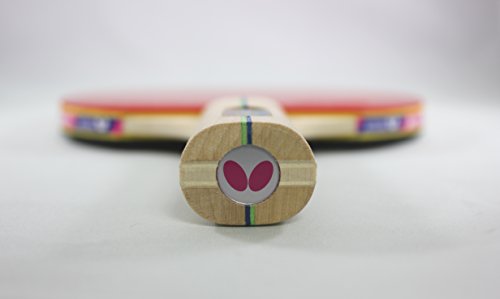 Butterfly RDJ 2 Player Table Tennis Racket & Ball Set - 2 ITTF Approved Ping Pong Paddles - Addoy Rubber and Sponge - 3 Balls