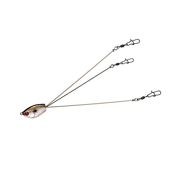 YUM-Yumbrella-Fishing-Lure-Tennessee-Special-3-Wire-Rig-Minnows-3-Pack