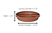 Bloem Terratray 2.7 in. H Resin Traditional Terracotta Clay Tray