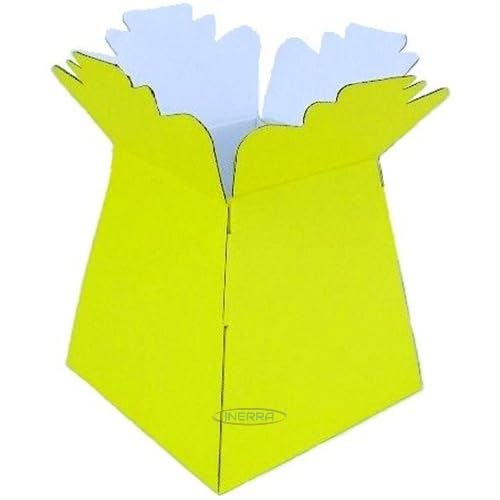 Inerra Florist Boxes Living Vases for Flowers and Bouquet Box Making - Pack of 5 (Yellow)