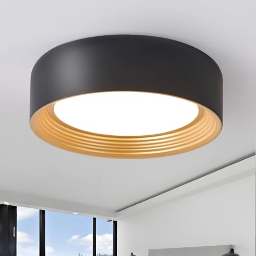 Suenigle Modern LED Flush Mount Ceiling Light Fixture