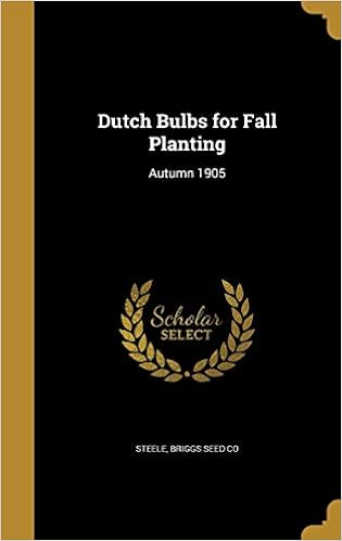 dutchbulbs free shipping