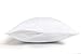 downluxe 2 Pack Queen Zippered Pillow Protectors - Premium Breathable Super Soft Pillow Covers 20