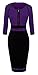 HOMEYEE Women's Vintage Colorblock Career Bodycon Dress B235