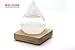 WELLDONE present Creative Stylish Desktop Drops Storm Glass Crafts Weather bottle Forecast Bottle Barometer(Mini)