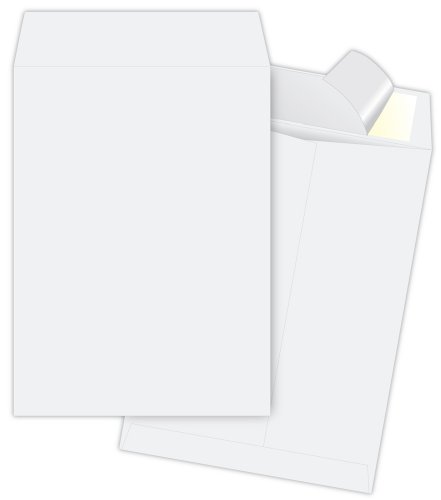 Quality Park R5121 Quality Park Tyvek Heavyweight Jumbo Envelopes, 18x23, White, 25/Box