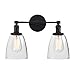 Phansthy Black Wall Sconce Double Sconce Light with Dual 5.6 Inches Clear Glass Lampshade(Black)