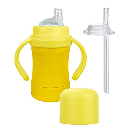 green sprouts Sprout Ware PlantPlastic Sip & Straw Cup, Includes Sippy