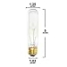 Pack Of 6 25 Watt T10 Clear Tubular Incandescent Medium (E26) Base 120-Volt Light Bulb