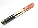 Estee Lauder Pure Color Gloss 25 Praline Paradise 0.15 Oz 4.5 Ml /Sumptuous Bold Volume Mascara 0.1 Oz 2.8 Ml