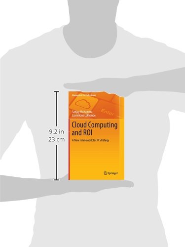 Cloud Computing and ROI: A New Framework for IT Strategy (Management ...