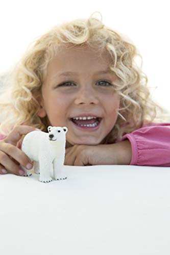 Schleich 14800 Polar Bear – Bild 2
