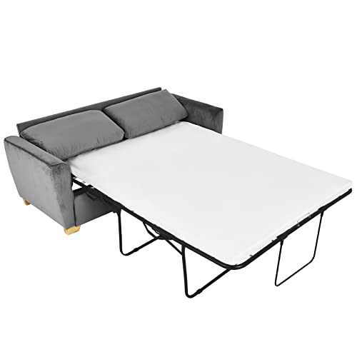BALUS Pull Out Sofa Bed, Sleeper Sofa Bed with Memory Foam Mattress, 2