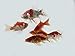 Toledo Goldfish Live Shubunkin, Sarasa, and Comet Goldfish Combo for Ponds or Aquariums – USA Born and Raised – Live Arrival Guarantee (3 to 4 inches, 24 Fish, 8 of Each)thumb 1