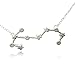 Clayton Online Sales COS (TM) Zodiac Constellation Sign Symbol Pendant Necklace (Scorpio Silver)