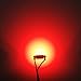Alla Lighting Super Bright DE3021 DE3175 LED Bulbs, Red Dome, Map, Trunk, Step Courtesy Lights, 31mm 7065 DE3022 CAN-Bus Interior Festoon Lamps