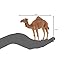 MOJO Arabian Camel Realistic International Wildlife Hand Painted Toy Figurine