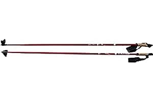 CALTER X-Snow Quefeldein Ski Poles