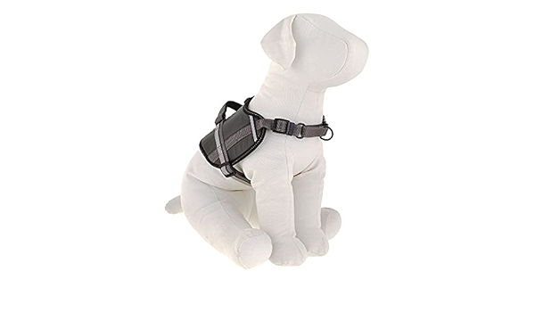 top paw harness how to put on