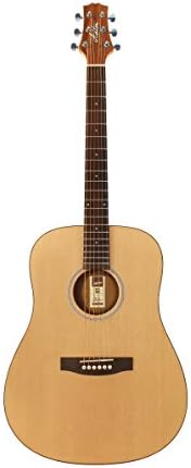 Ashton D20 Dreadnought Acoustic Guitar