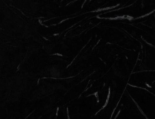 02 YARDS BLACK RAYON VELVET FABRIC, BY SOUTH BEACH FABRIC