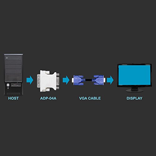 image for Kingwin DVI-D 24+1 Male to VGA HD 15 Female Adapter for HDTV, Gaming, 