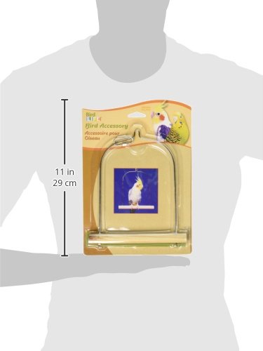 Penn Plax Cockatiel Bird Swing