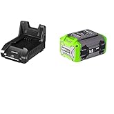 NovorikX 60V 5 Ah Lithium Ion Battery Pack Lithium-Ion Batteries & Charger