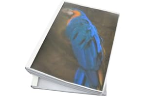 Coverbind Clear Linen Wrap-Around Thermal Binding Report Covers - 1/16 inch Spine, Letter Size, White, Portrait - Qty 100 (08CB116WHITE)