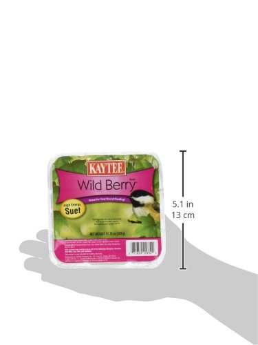 KAYTEE WILD BERRY HIGH ENERGY BIRD SUET, 11.75 OZ