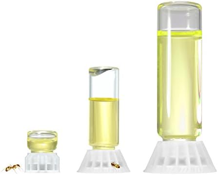 Liquid Feeders For Ants, Assorted Small Sizes: For Water, Sugar Water, or Ant Nectar (8 pcs.)