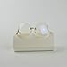 MINCL/unique Design Rimless Sunglasses Clear and Color With Box (gold, clear)