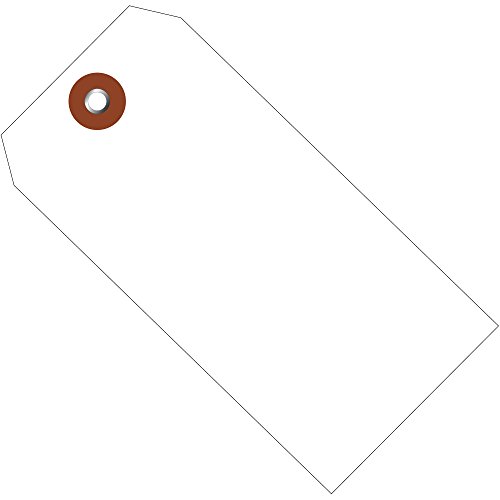 Aviditi Plastic Shipping Tags, 6 1/4" x 3 1/8", White, Waterproof, Inventory As…
