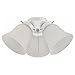 Westinghouse CORP 7781400 3-Light Frost Fan Kit, White