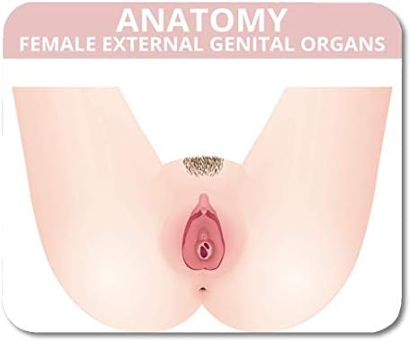 VANKINE Mouse Pads Organ The Structure of Female External Genitalia Medical Anatomy Vagina Anus Body Mouse pad 9.5" x 7.9" for Notebooks,Desktop Computers Accessories Mini Office Supplies Mouse Mats