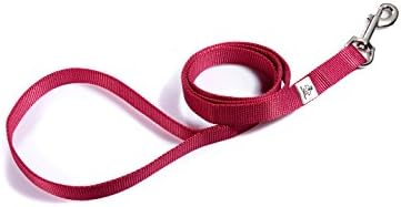 "Clearance Sale" SMARZ PET Durable Extra Thick Dog Leash, Medium Size, Length 4โ-5โ, Nylon Leash for Dogs, REACH Material, Red
