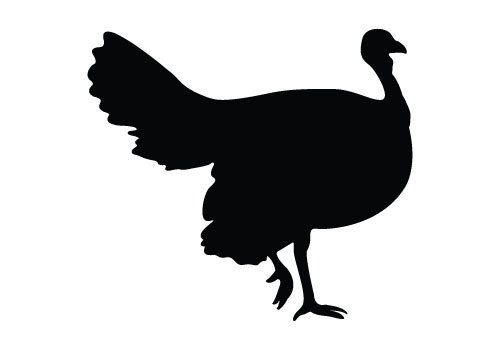 Pack of 3 Turkey Style 2 Stencils, 11x14, 8x10 and 5x7 Made from 4 Ply Matboard