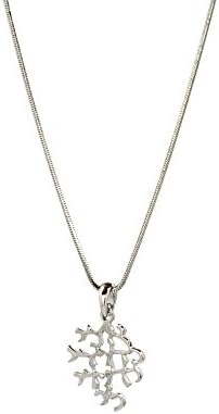 Mutual and Eternal Love Necklace from Songs of Songs 6:3 - Unisex 15.5" Silver Tone