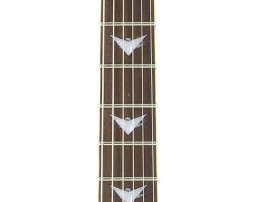 Schecter Omen Extreme-6 Electric Guitar (See-Thru Black)