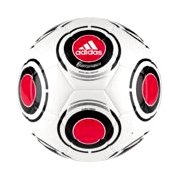 terrapass adidas
