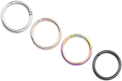 FB 16G 10mm 316L Stainless Steel Seamless Nose Ring Hoop Hinged Body Piercing Earring Hoop Clicker Ring……
