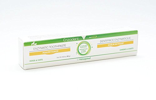 Enzadent Pet Toothpaste: Dogs & Cats Poultry Flavor