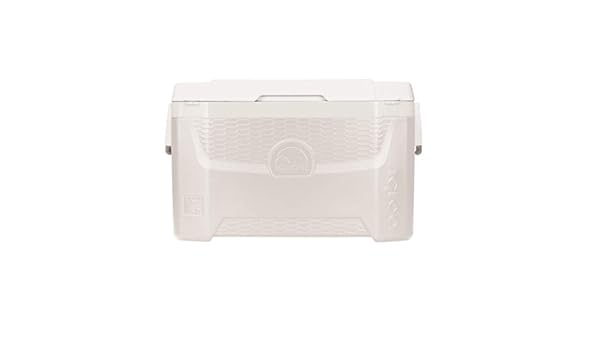Igloo Nevera portátil Marine Quantum 52 litros Pesca, Camping ...