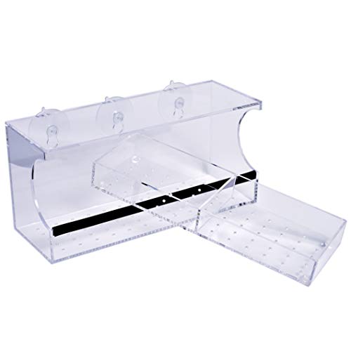 Amazon Com Himerus Window Bird Feeder With Strong Suction Cups